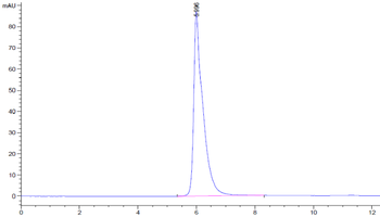 Human IL-3R Alpha Protein