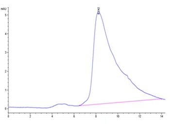 Human IL-13 Protein