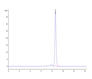 Human IL-18 Protein (HEK293)