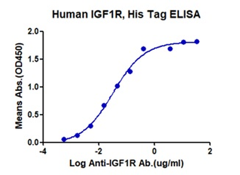 Human IGF1R Protein