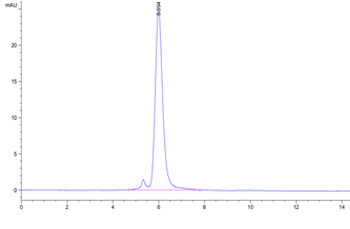 Human IFN-Alpha Protein