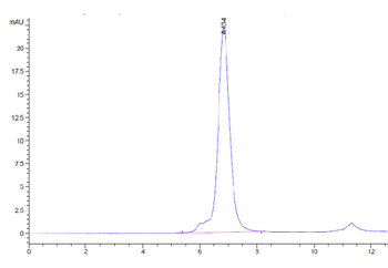 Human ICOS Protein