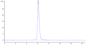 Human ErbB3 Protein