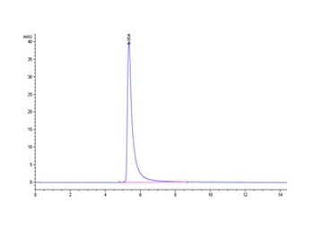 Human ErbB3 Protein