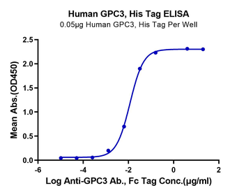 Human Glypican 3 Protein