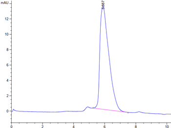 Human Glypican 3 Protein