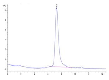 Mouse GFR Alpha-like Protein