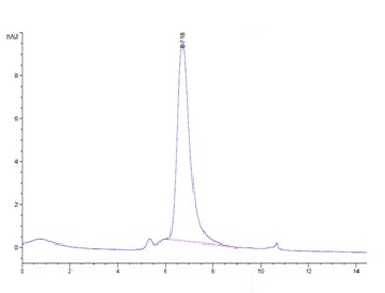 Human GFRAL Protein