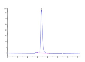 Human GUCY2C Protein