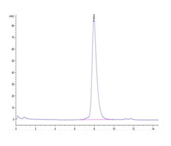 Monkey FcRn Protein