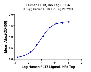 Human FLT3 Protein