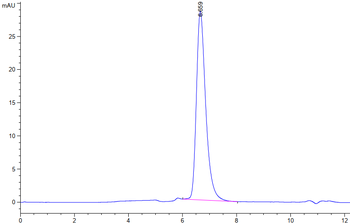 Human FLT3 Protein