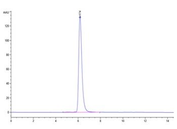 Human E-selectin Protein