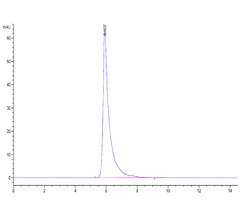 Human CD26 Protein