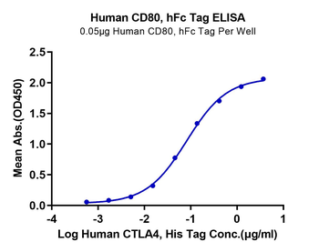 Human CTLA4 Protein