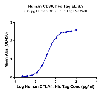 Human CTLA4 Protein