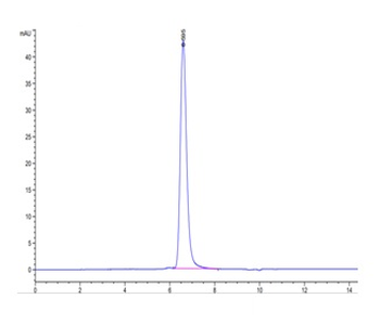 Human CD70 (Trimer) Protein