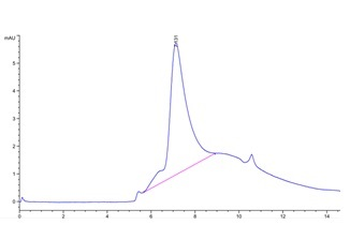 Human NKG2A & CD94 Protein