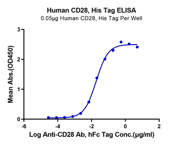 Human /Monkey/rhesus macaque CD28 Protein