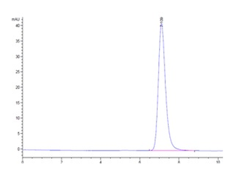 Mouse CD73 Protein