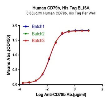 Human CD79B Protein