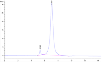 Human CD79B Protein