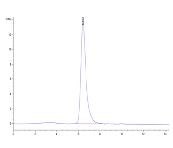 Human CD7 Protein