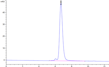 Human CD47 Protein