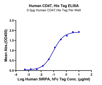 Human CD47 Protein