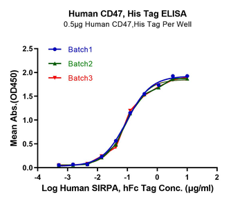 Human CD47 Protein