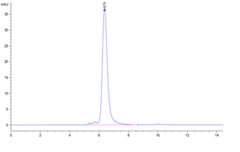 Human CD52 Protein