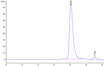 Mouse CD40 Protein