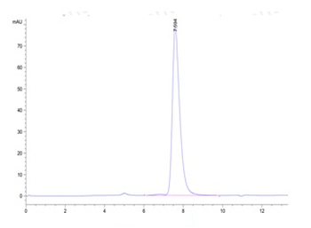 Human CD40 Protein