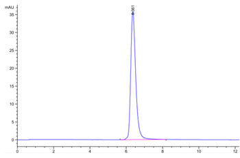 Human CD40 Protein