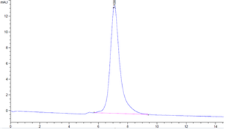 Mouse CD36 Protein