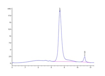 Human CD36 Protein