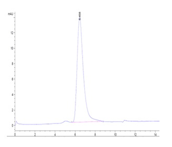 Human CD30 Protein