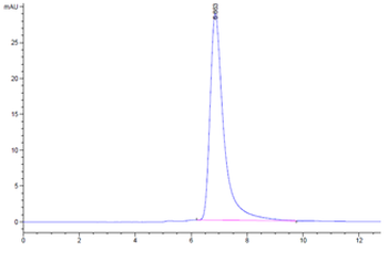 Human CD38 Protein