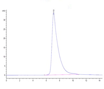 Human CD23 Protein