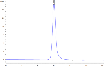 Human CD24 Protein