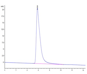 Human CD27 Protein