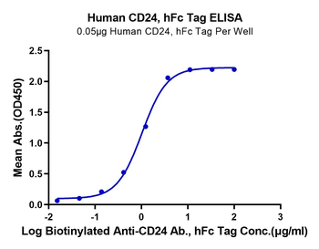 Human CD24 Protein