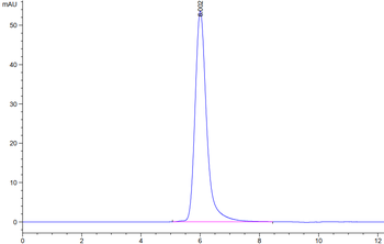 Human CD24 Protein