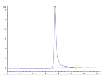 Human CD122 Protein