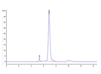 Monkey CD122 Protein