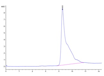 Mouse BCMA Protein