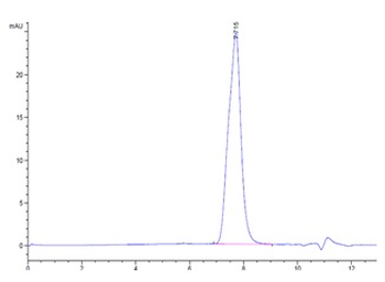 Mouse BCMA Protein