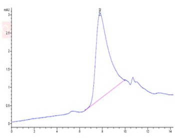 Human BCMA (Trimer) Protein