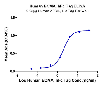 Human BCMA Protein