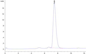 Human BCMA Protein